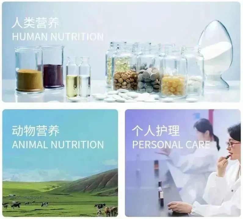 嘉必優(yōu)：從食品生物科創(chuàng  )板“第一股”到合成生物學(xué)研發(fā)型上市公司